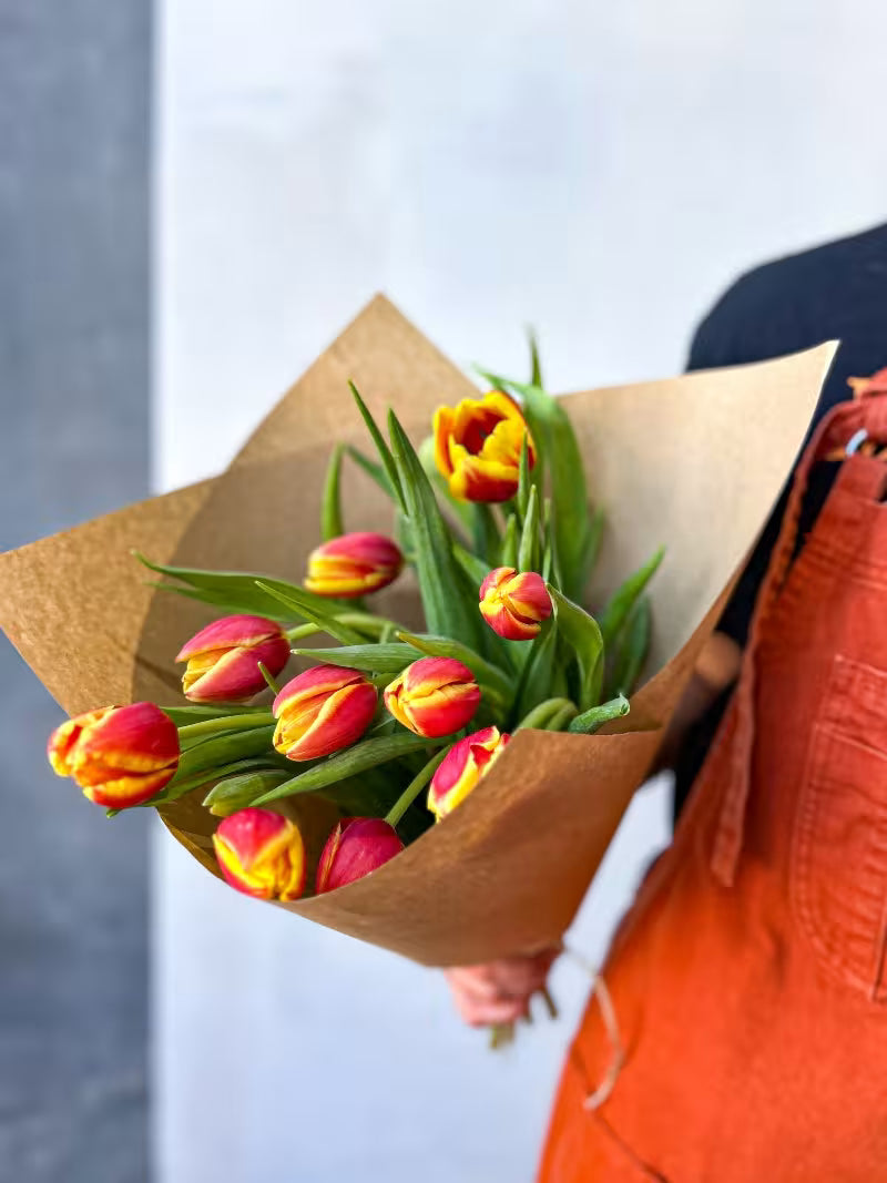 Best Flowers That Bloom in Winter