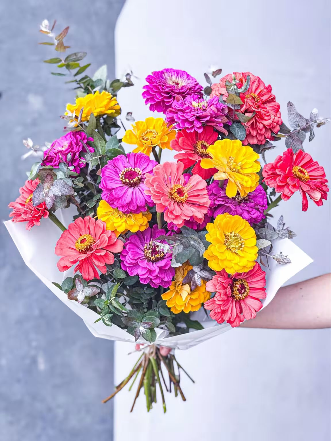Garden Glow-Up: 5 Annual Flowers Aussies Love