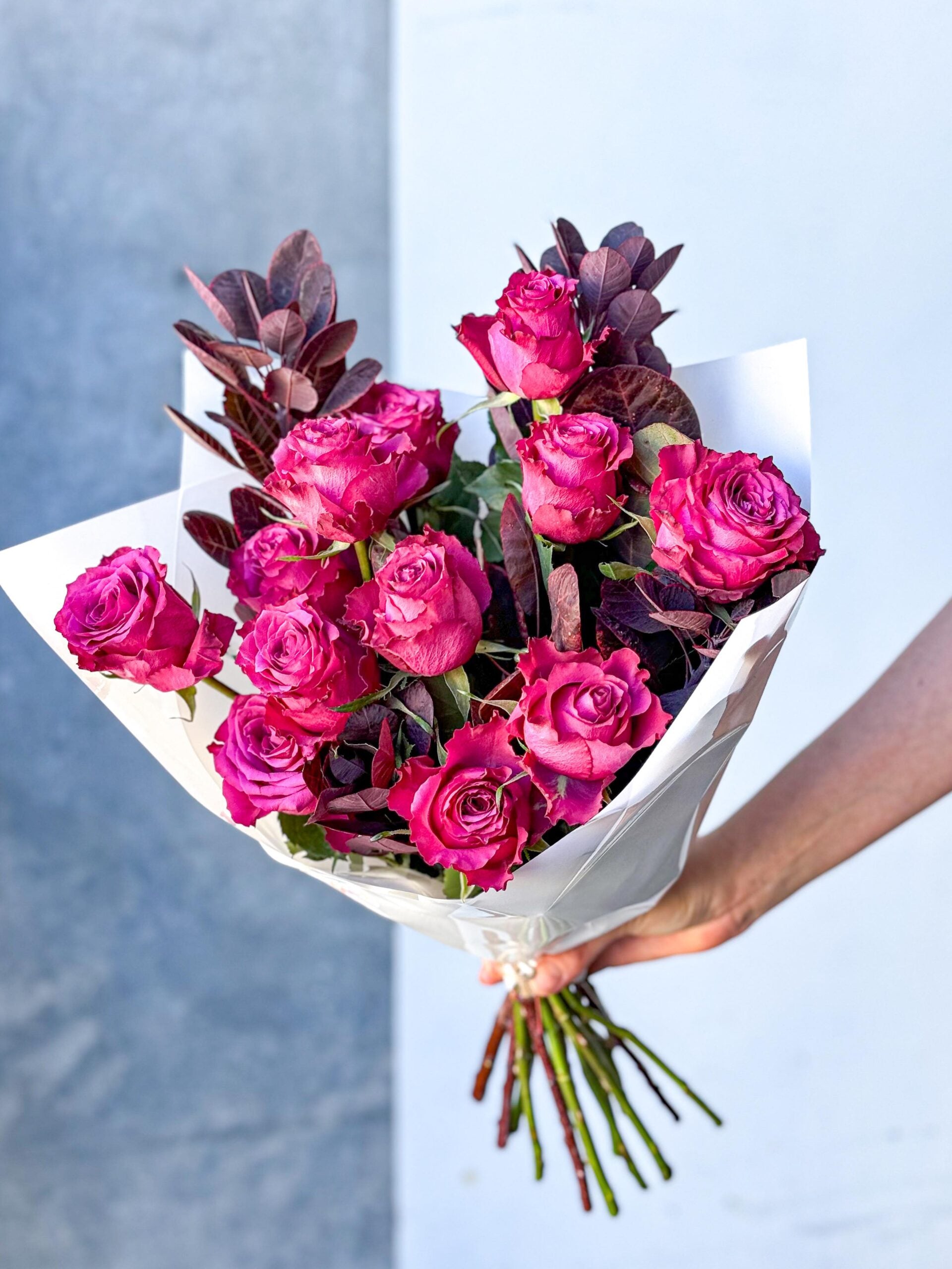 1 Dozen Roses