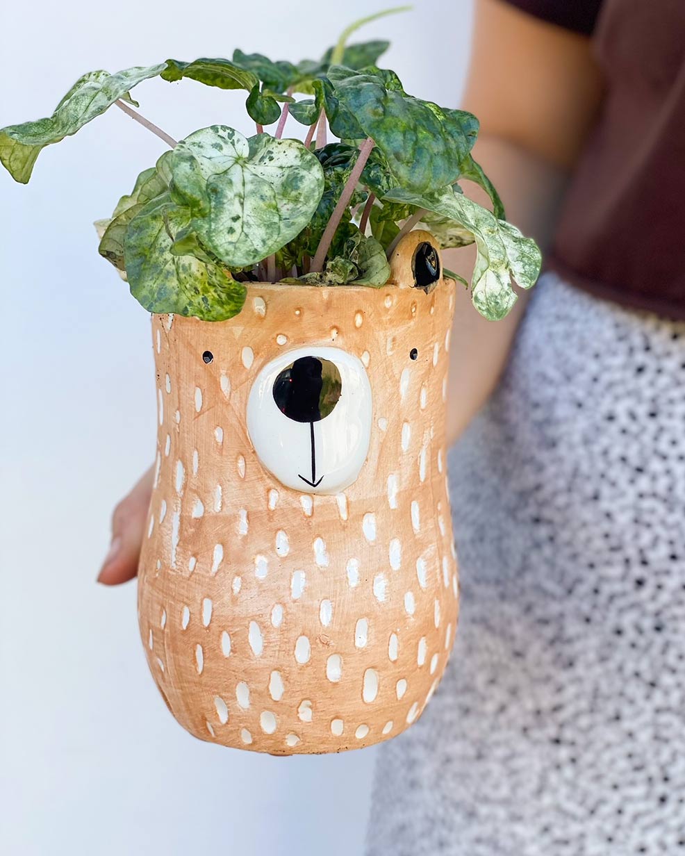 Bear Pot