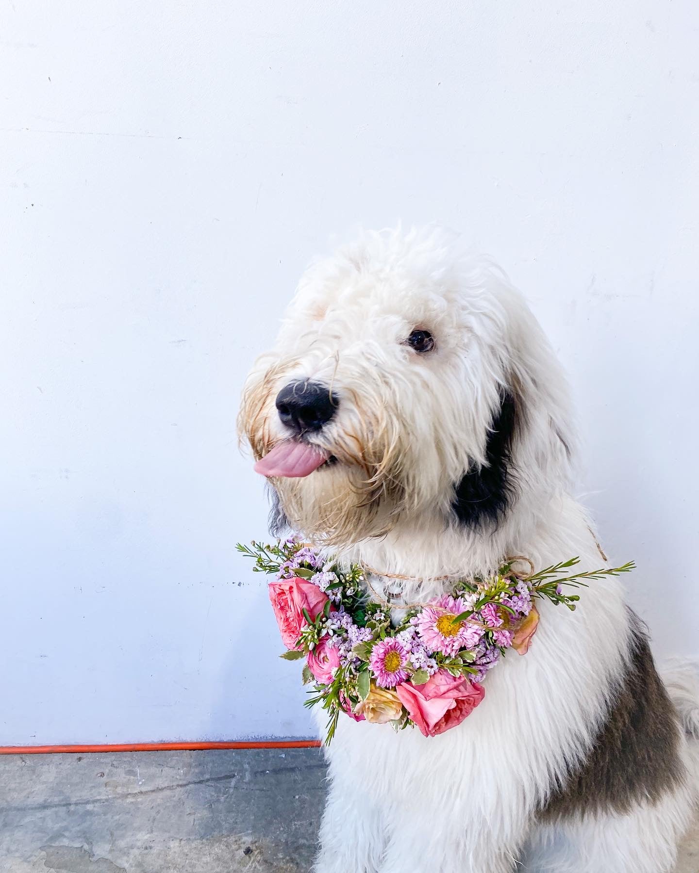 Poco Posy
