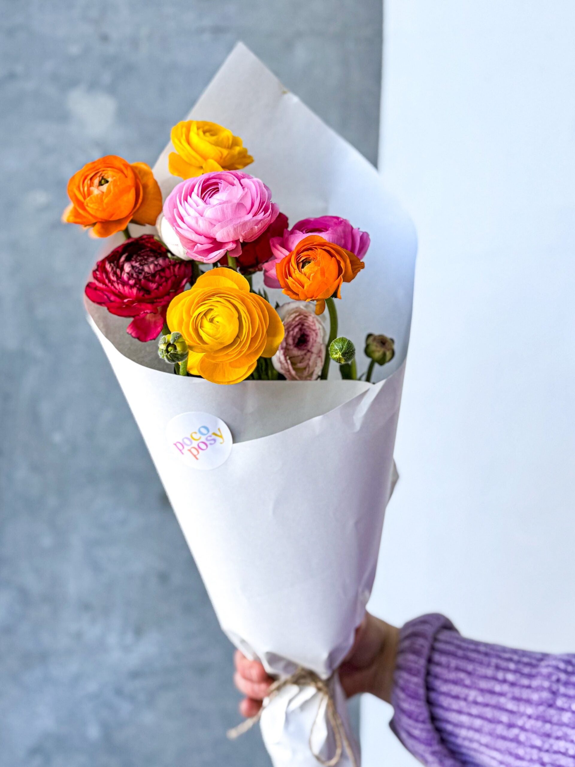 Ranunculus