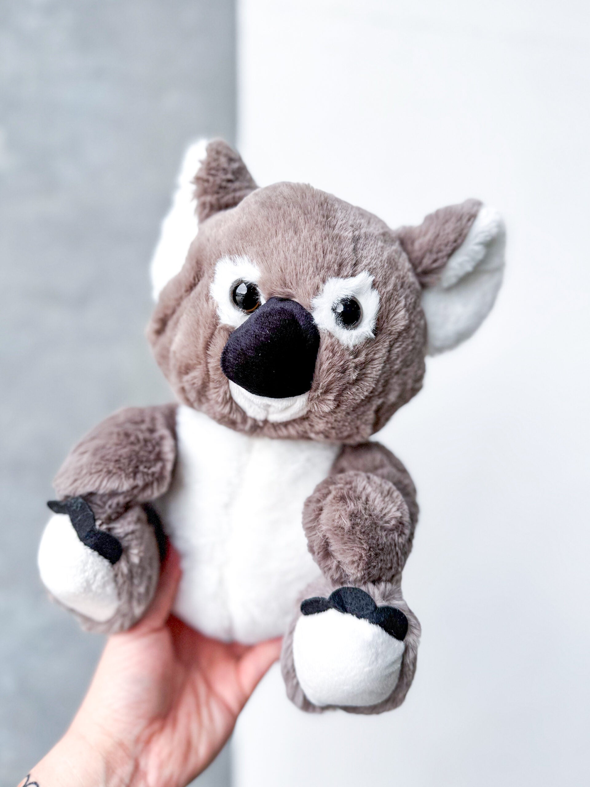 Kimble the Koala
