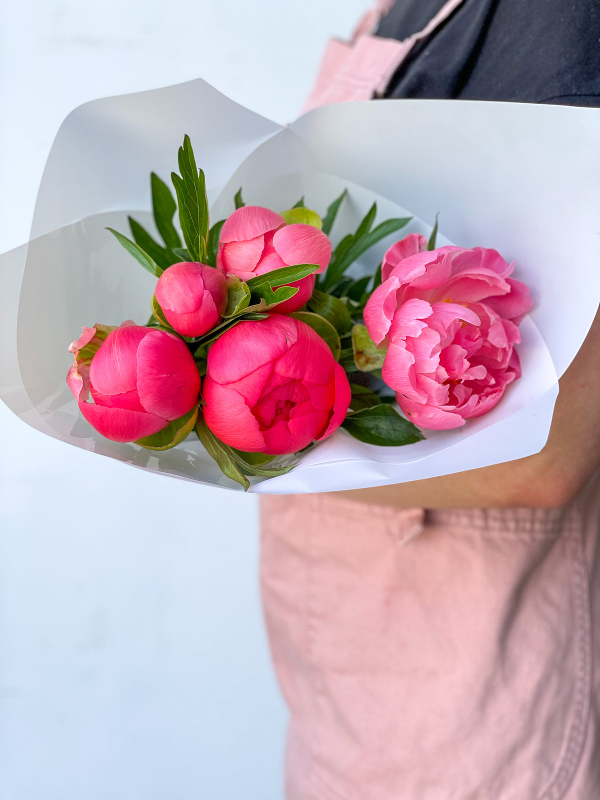 Pretty Peonies