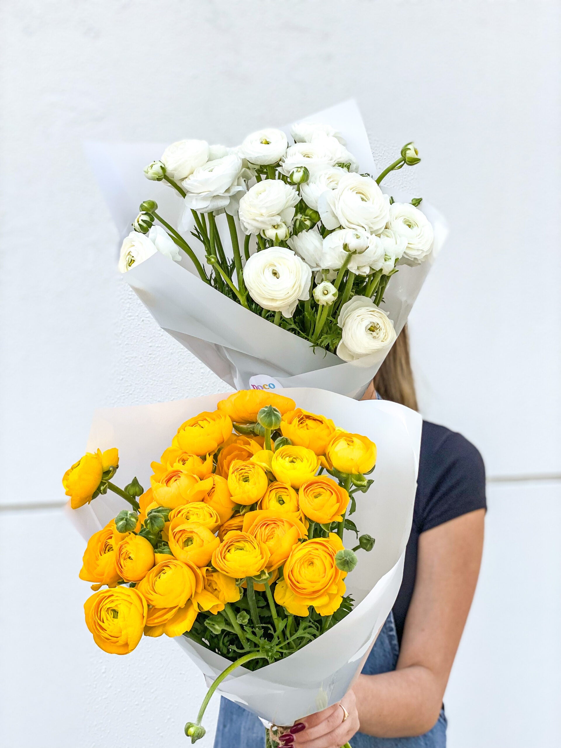 Ranunculus
