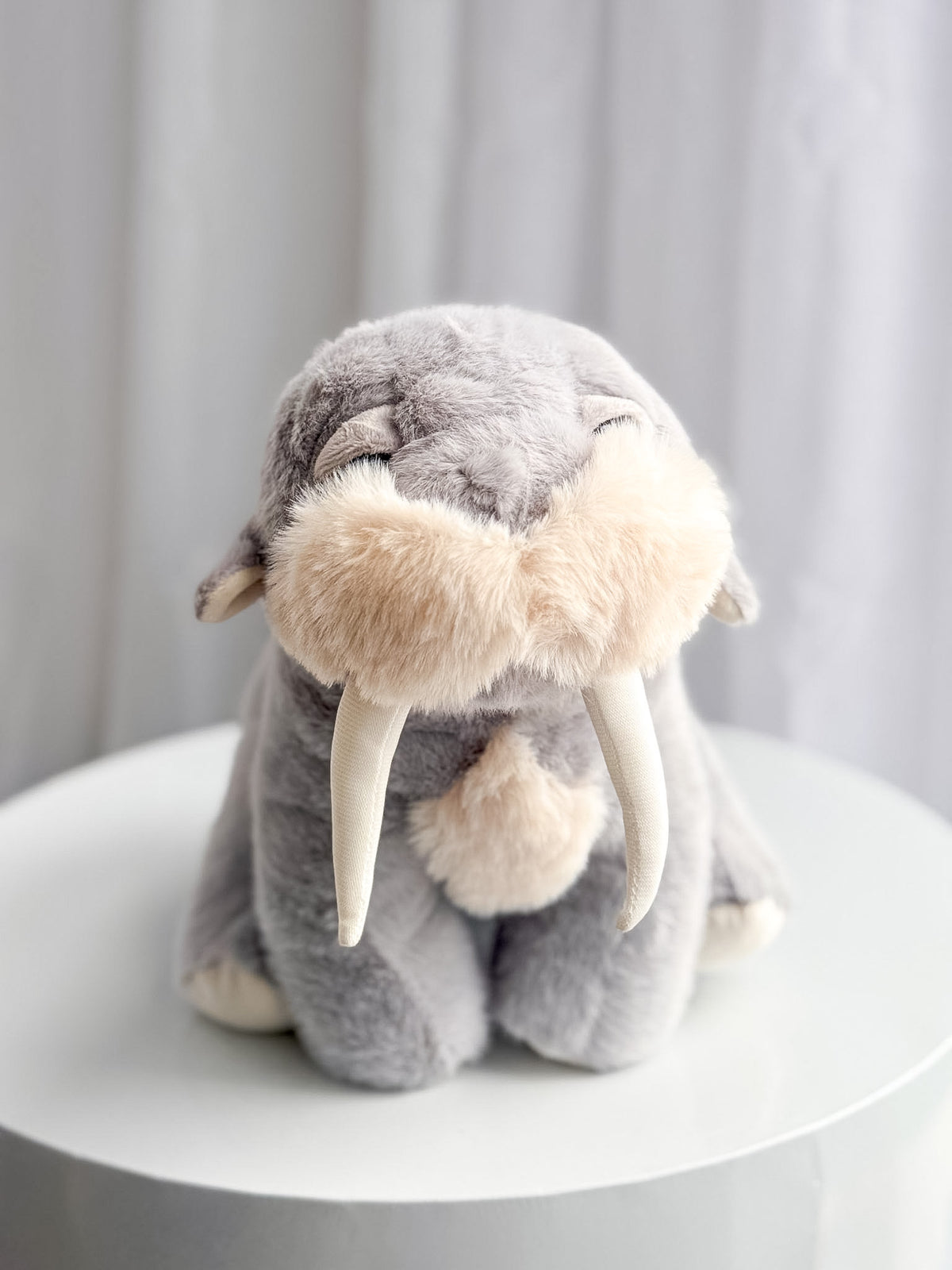 Winnie the Walrus