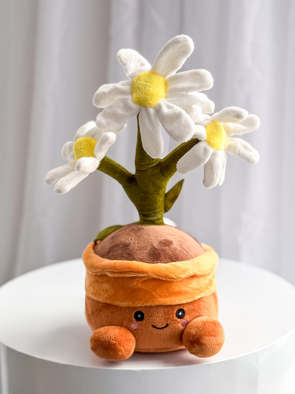 Daphne the Daisy Pot