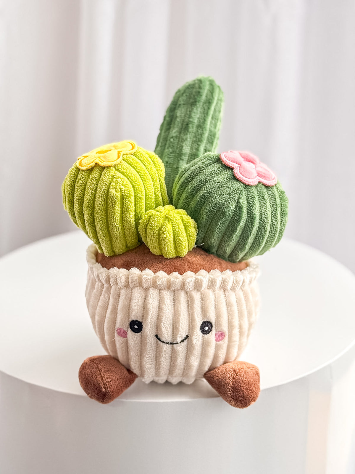 Charli the Cactus