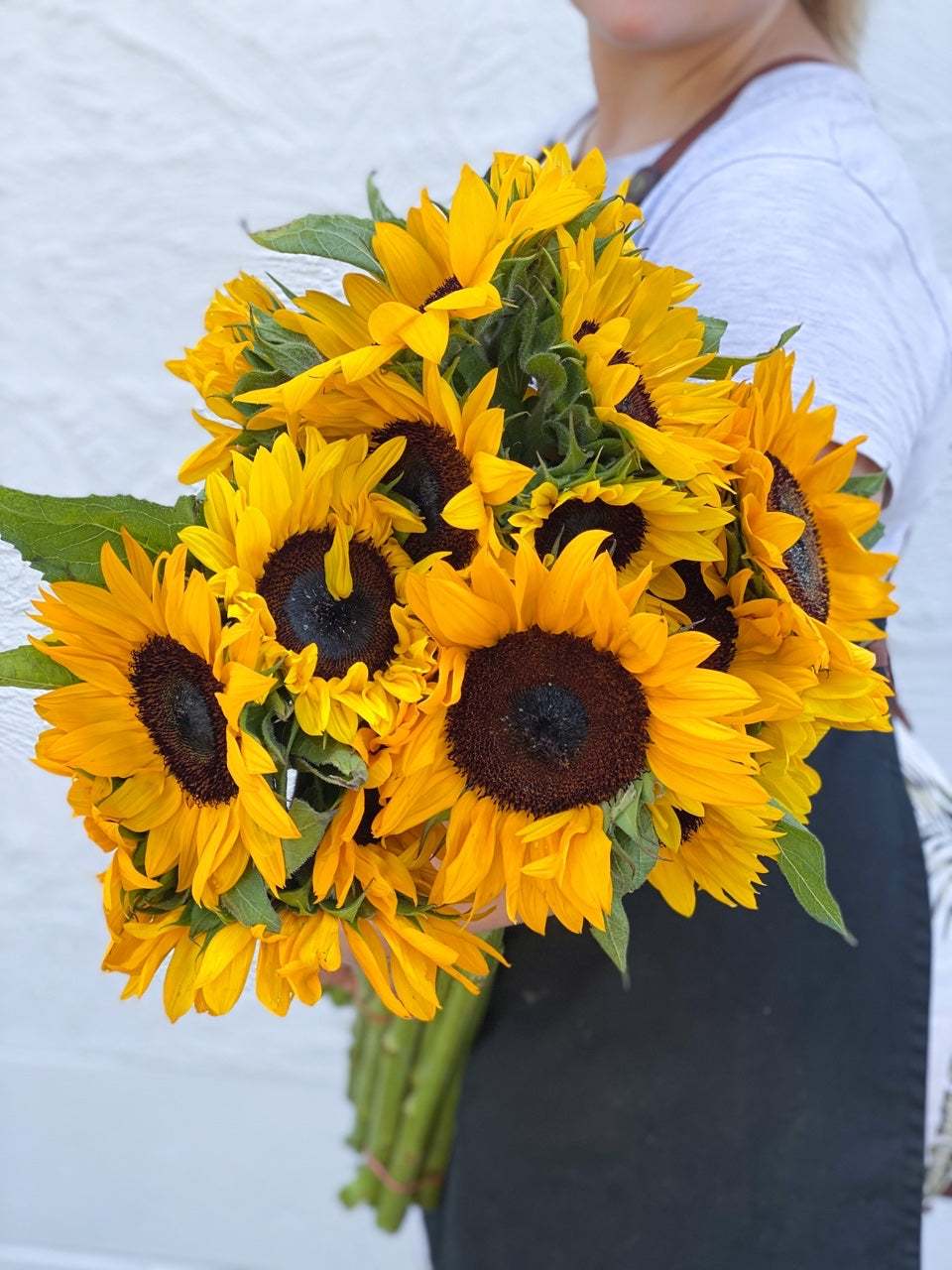 Sunflower Skip Sunflowers – Poco Posy