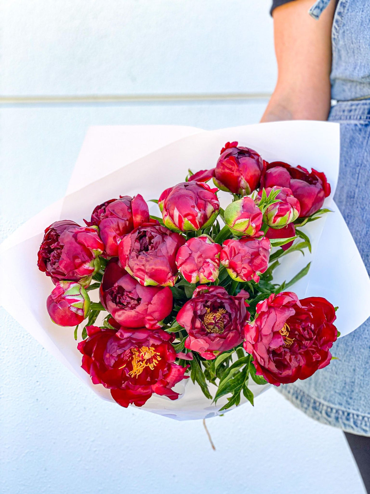 Red Peonies