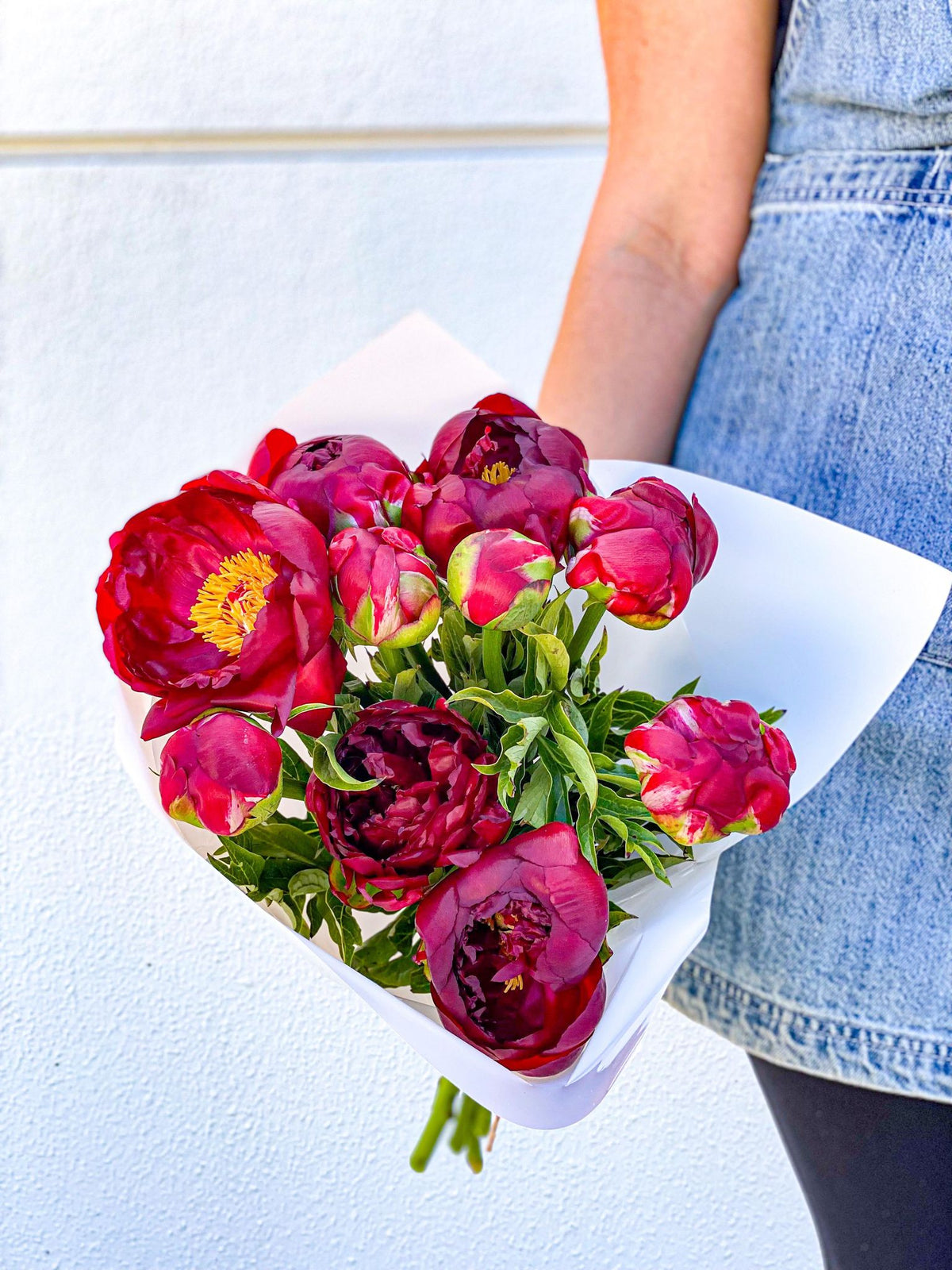 Red Peonies