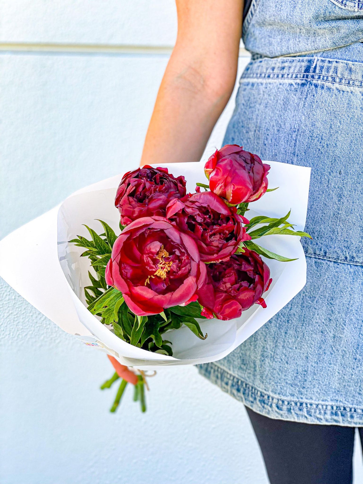 Red Peonies