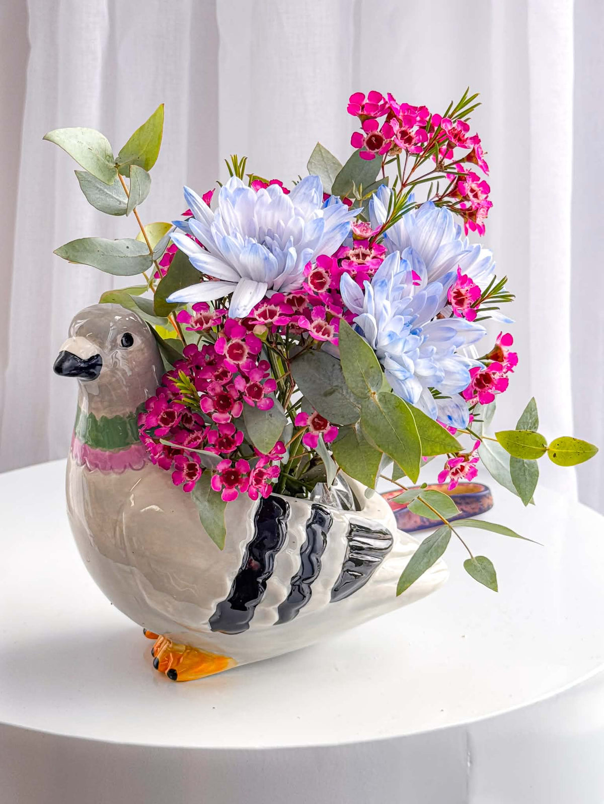 Pecan the Pidgeon (Brisbane)