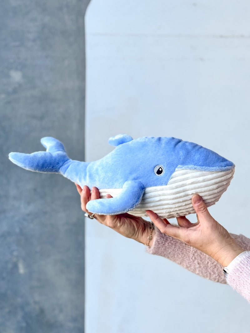 Wally the Whale