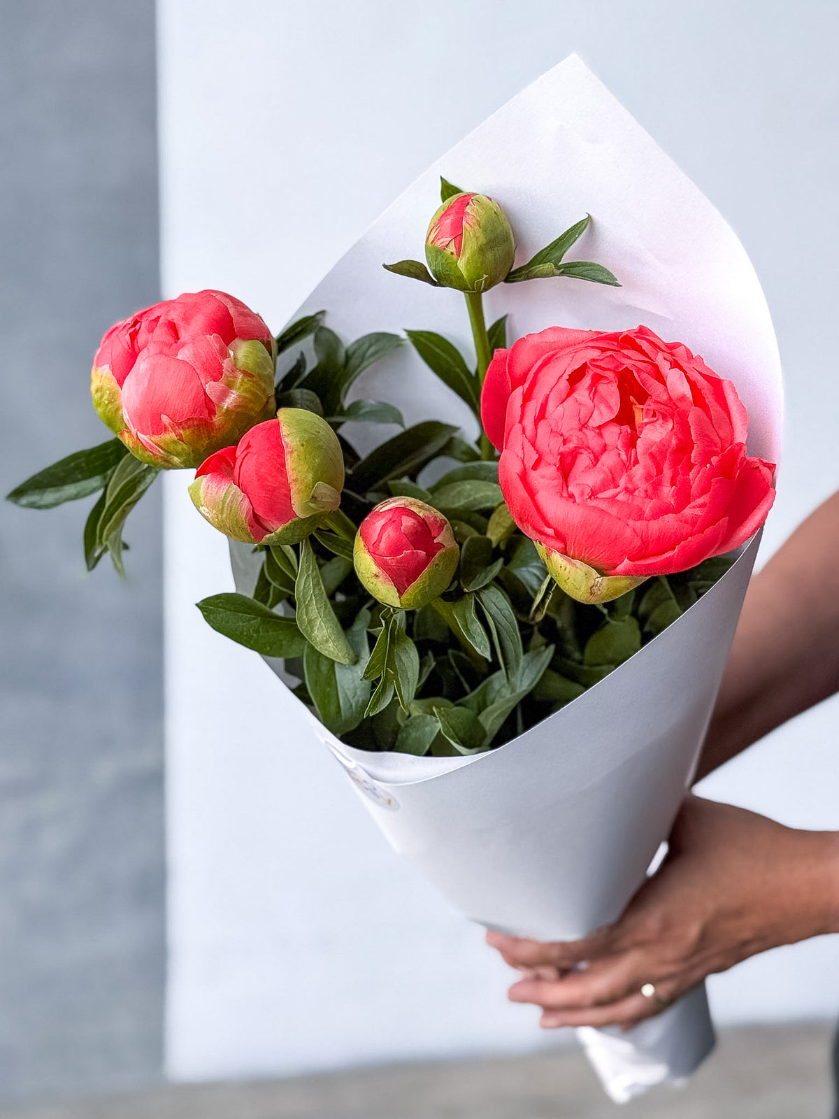 Pretty Peonies