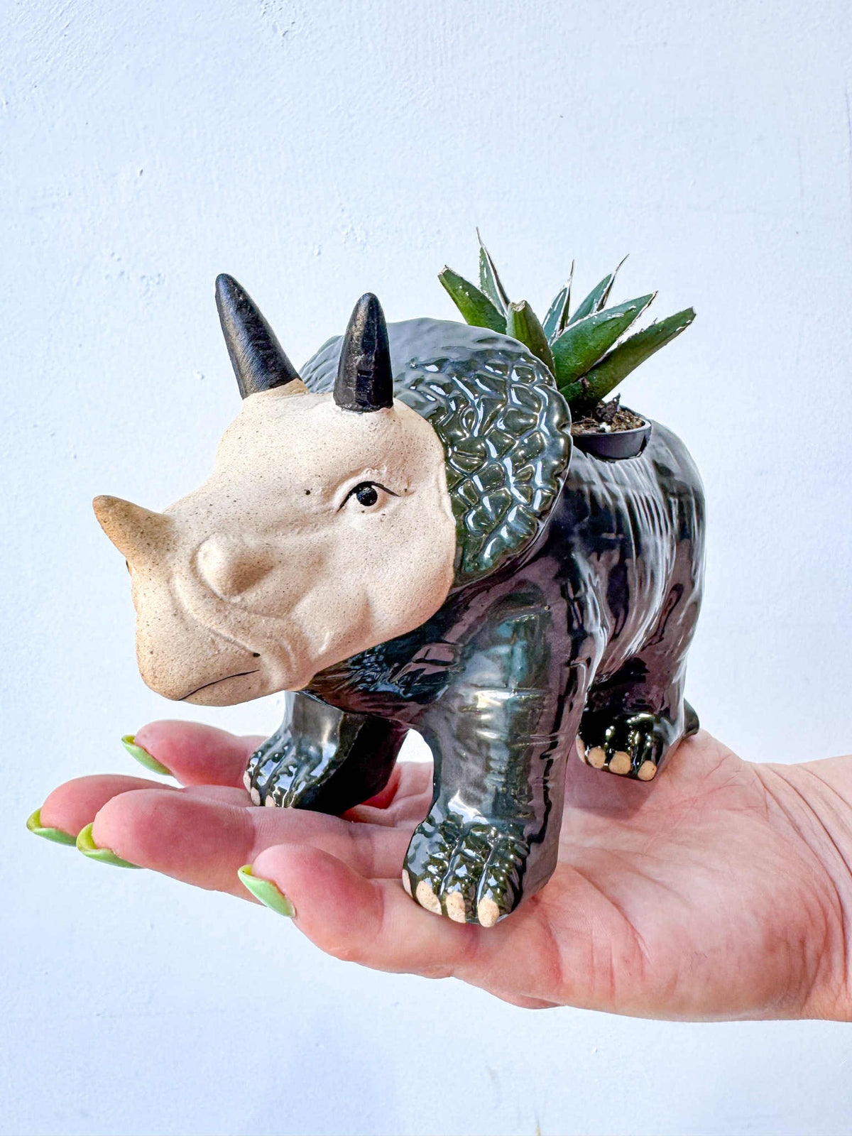Darcy the Dino (Melbourne)