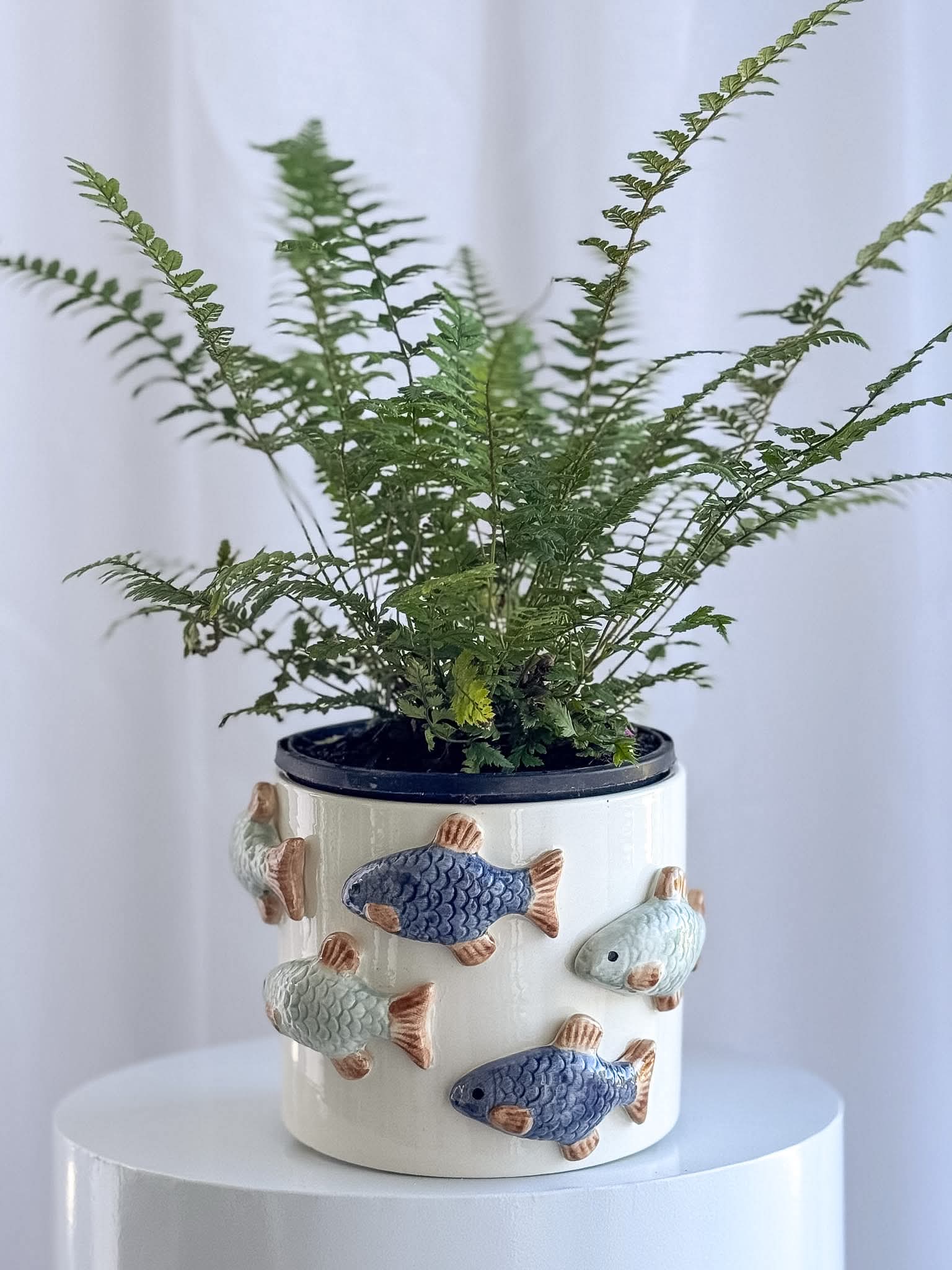 Poco Pot - Melbourne