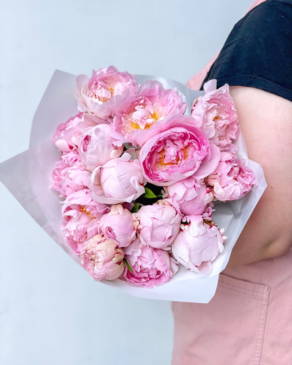 Pale Pink Peonies