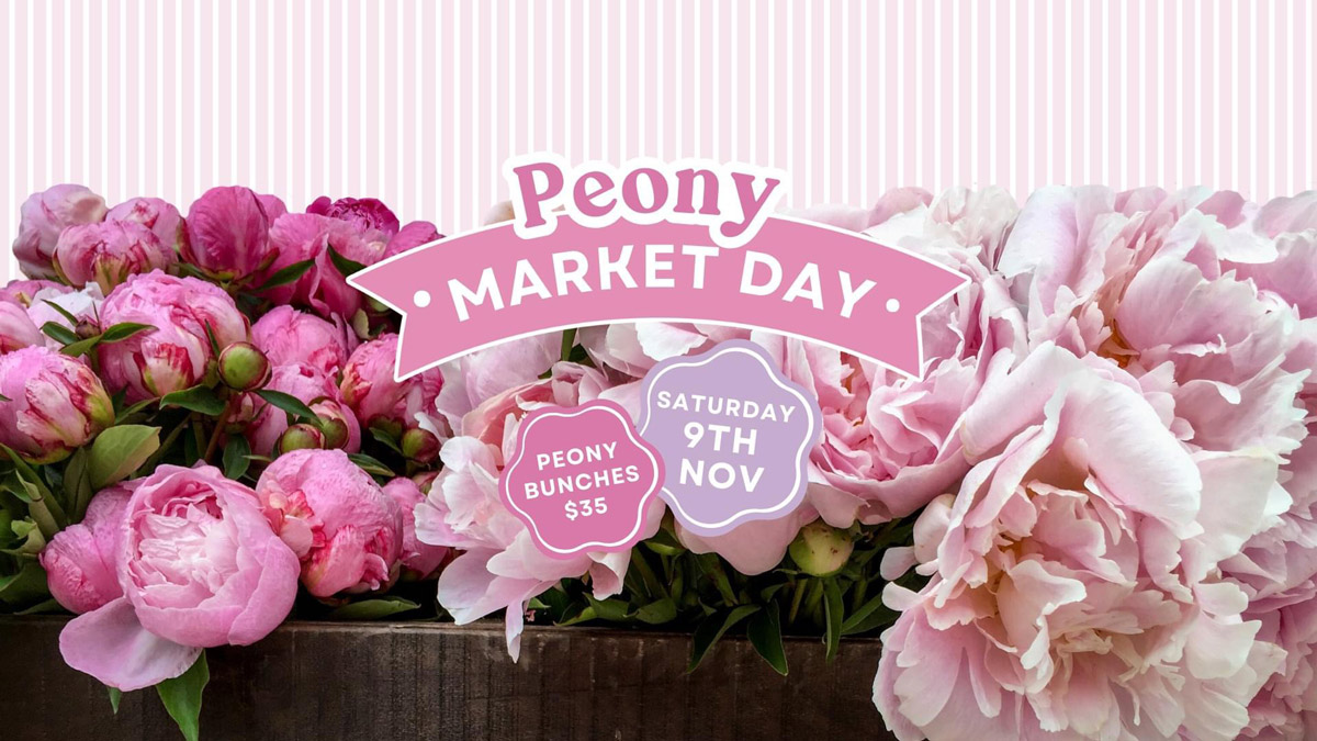 Peony Market Day